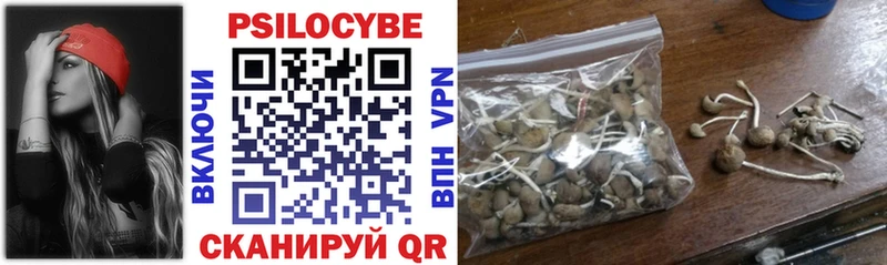 Купить  Новоалтайск  Псилоцибиновые грибы MAGIC MUSHROOMS 